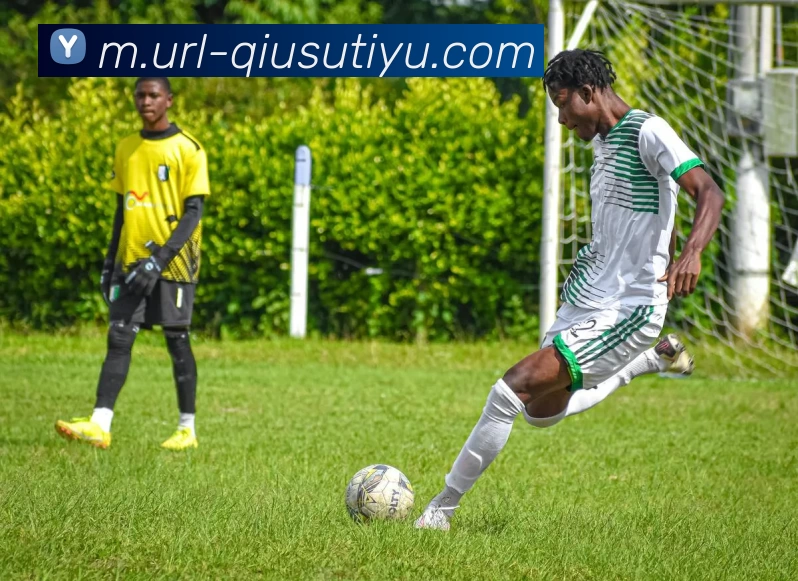 多媒体互动体验